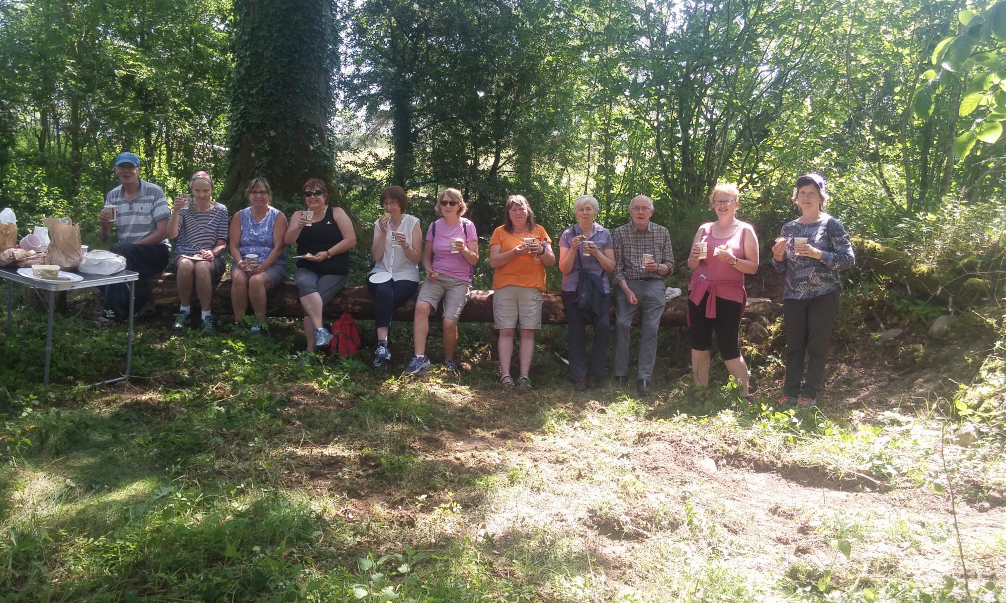 Ardboula, Tulla, East Clare Way